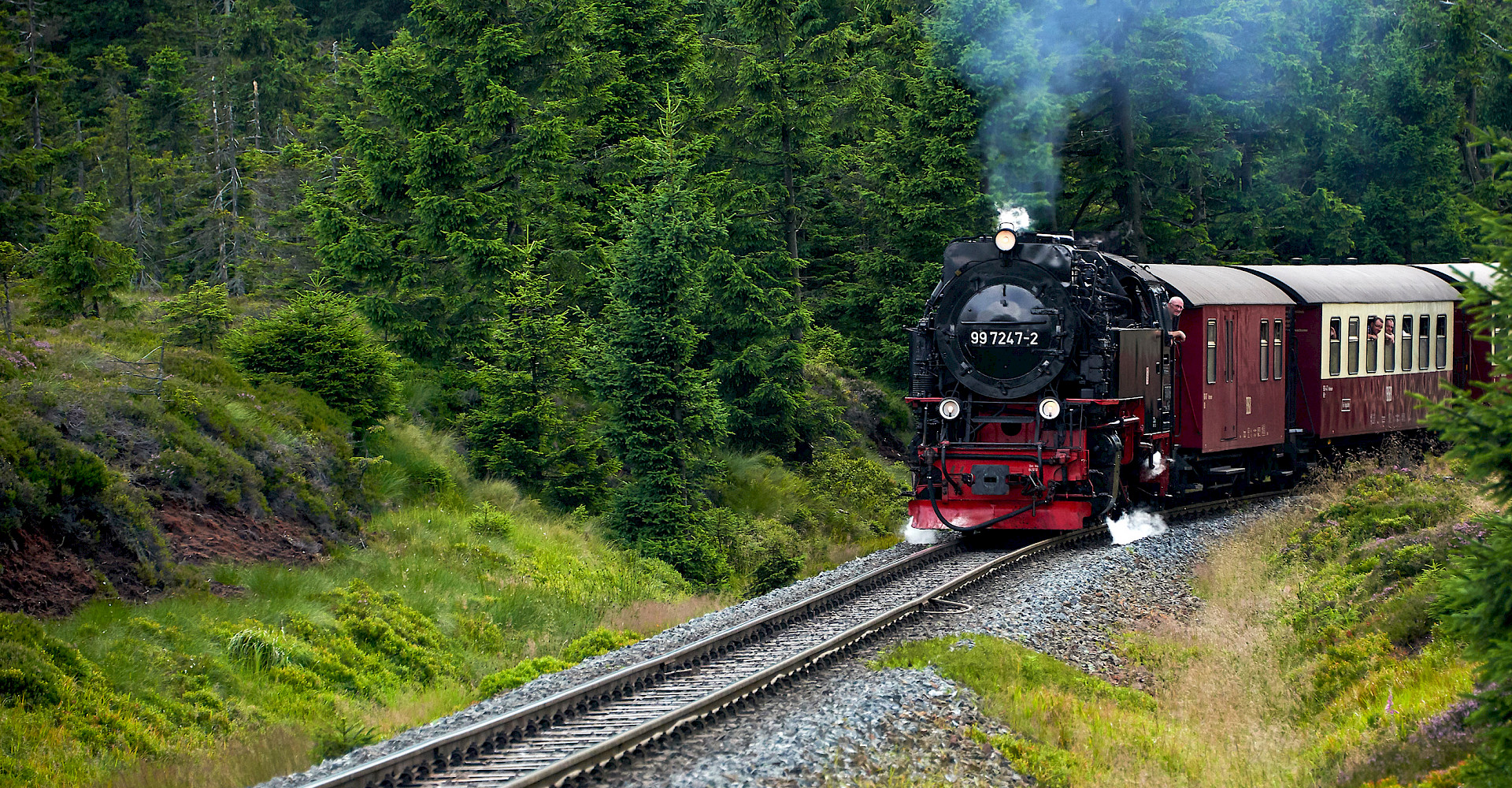 Harzchalets Emma, Ferienwohnungen im Harz, Brockenbahn, Wandern