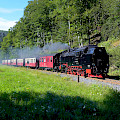 © Lilly_Lustig | pixabay.com | (Steam locomotive, Resin, Narrow gauge railway image)